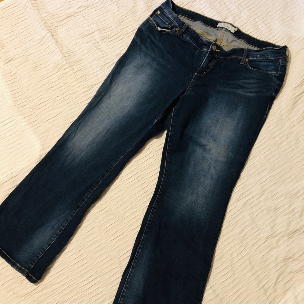TORRID Boot Dark Wash Jeans sz 18
